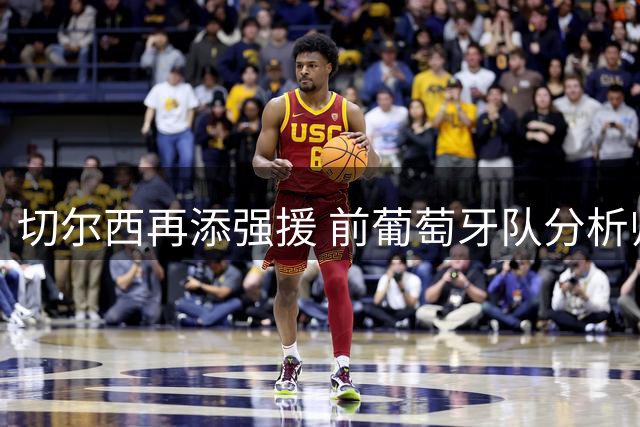 切尔西再添强援 前葡萄牙队分析师赖斯加盟教练组